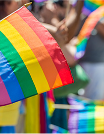Se muestran unas banderas de la comunidad LGBTIQ+